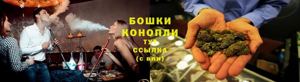 гидропоника Вяземский