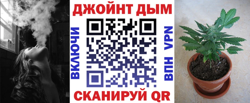 Бошки Шишки сатива Афипский